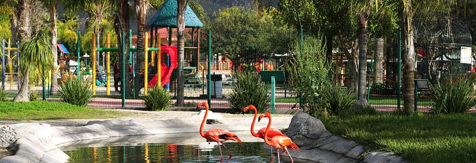 Parques Recreativos